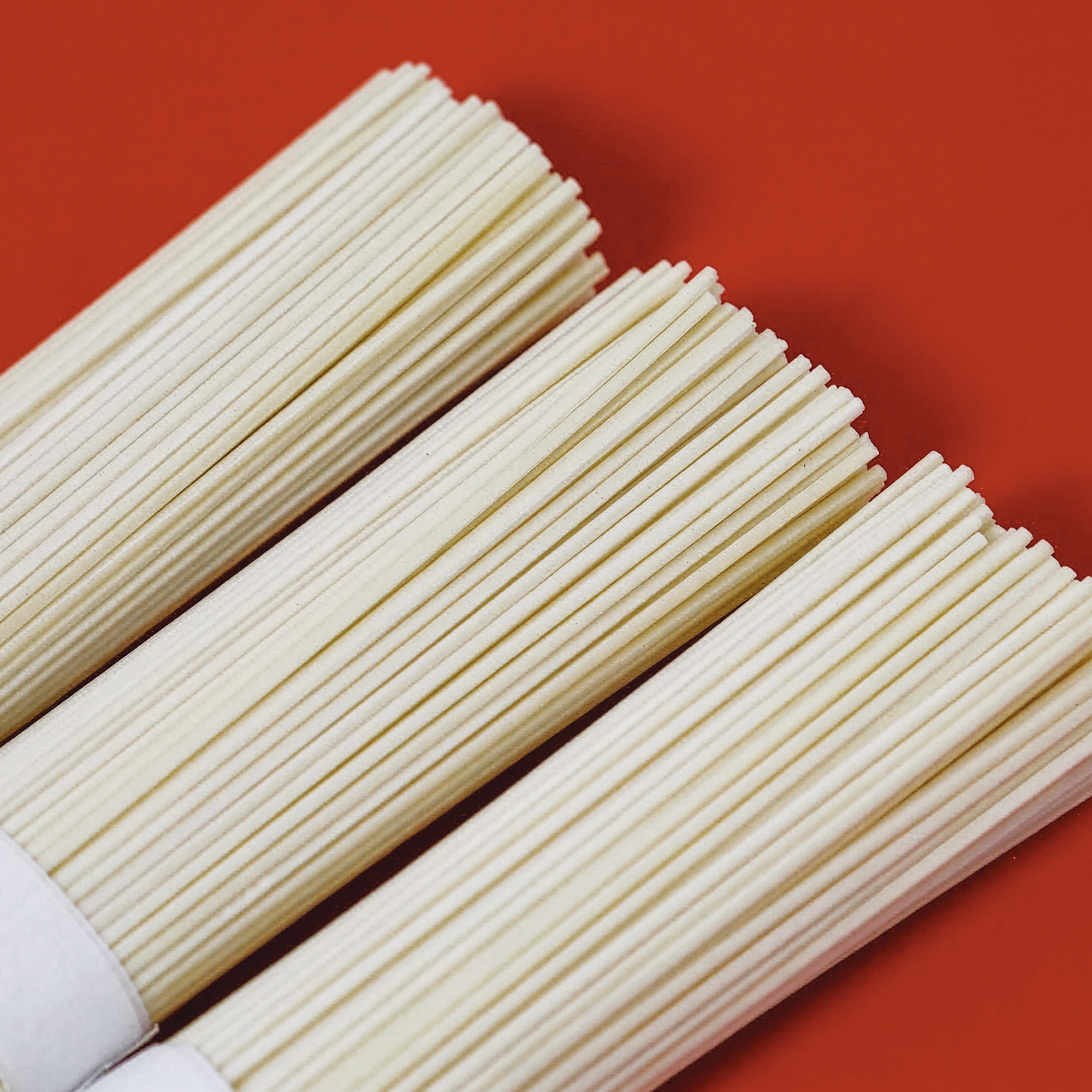 RAMEN NOODLES